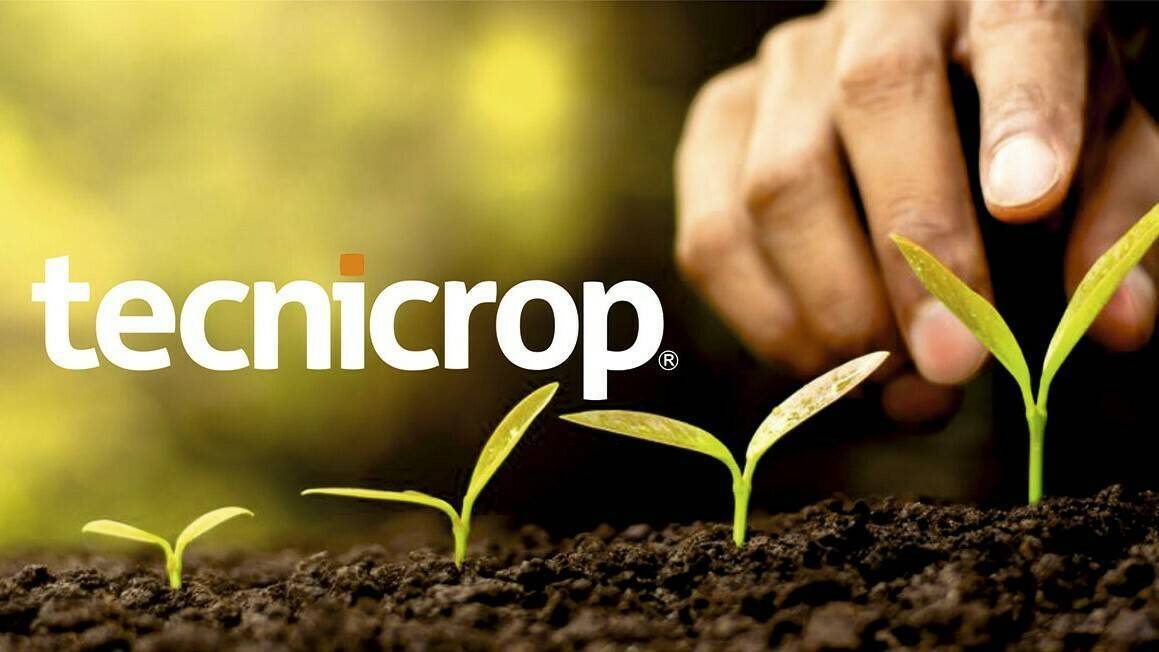 aevae-tecnicrop-asosiacion|aevae-tecnicrop-asosiacion